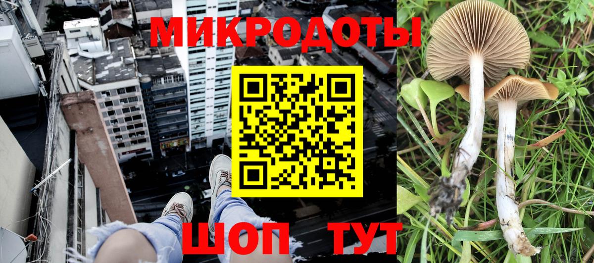 Изобильный  Галлюциногенные грибы MAGIC MUSHROOMS  Вход с VPN  Галлюциногенные грибы Psilocybine cubensis 
