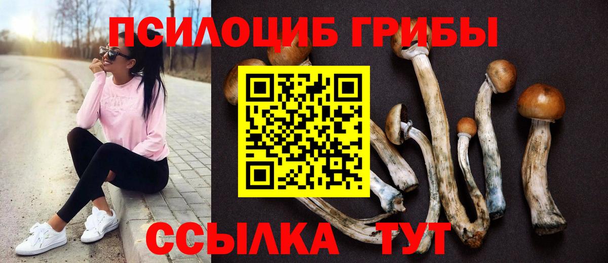 Галлюциногенные грибы Magic Shrooms Изобильный